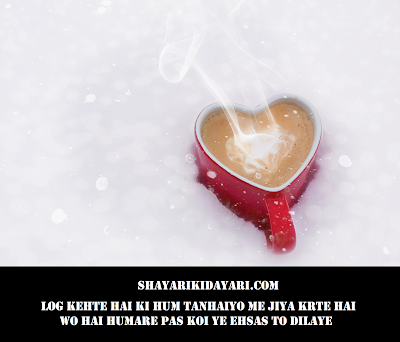 Log Kehte Hai Ki Hum Tanhaiyo Me Jiya Krte Hai