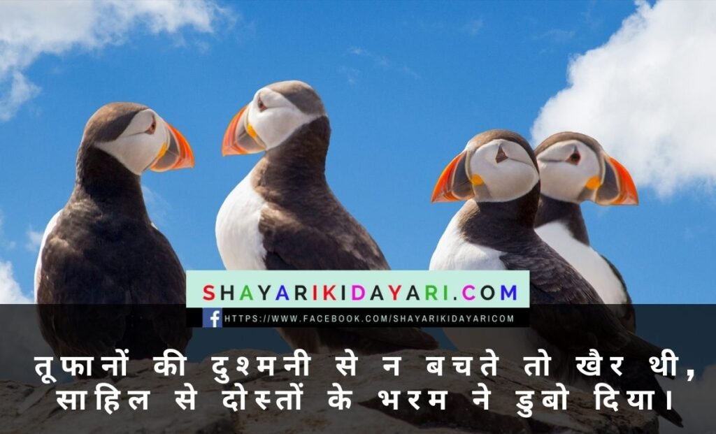 Attitude Friendship shayari in English