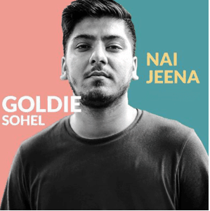Goldie-Sohel-Singer