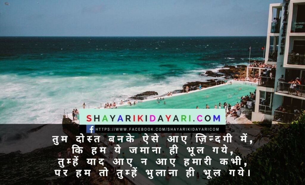 Shero shayari on friendship in English