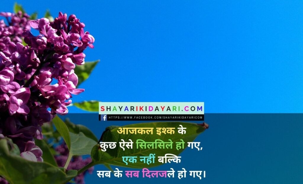Diljale Shayari Hindi images