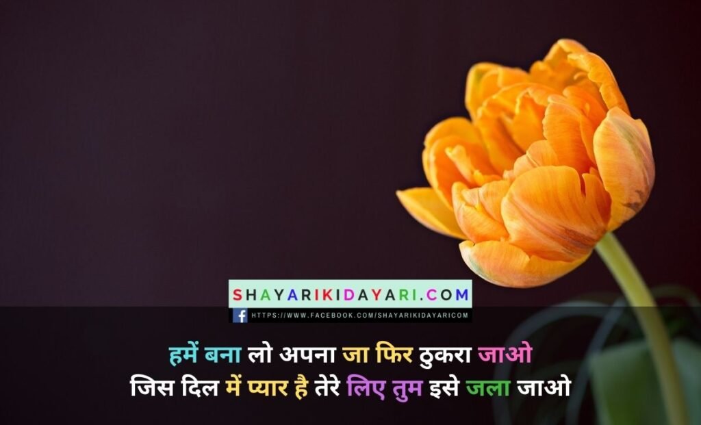 Diljale shayari urdu