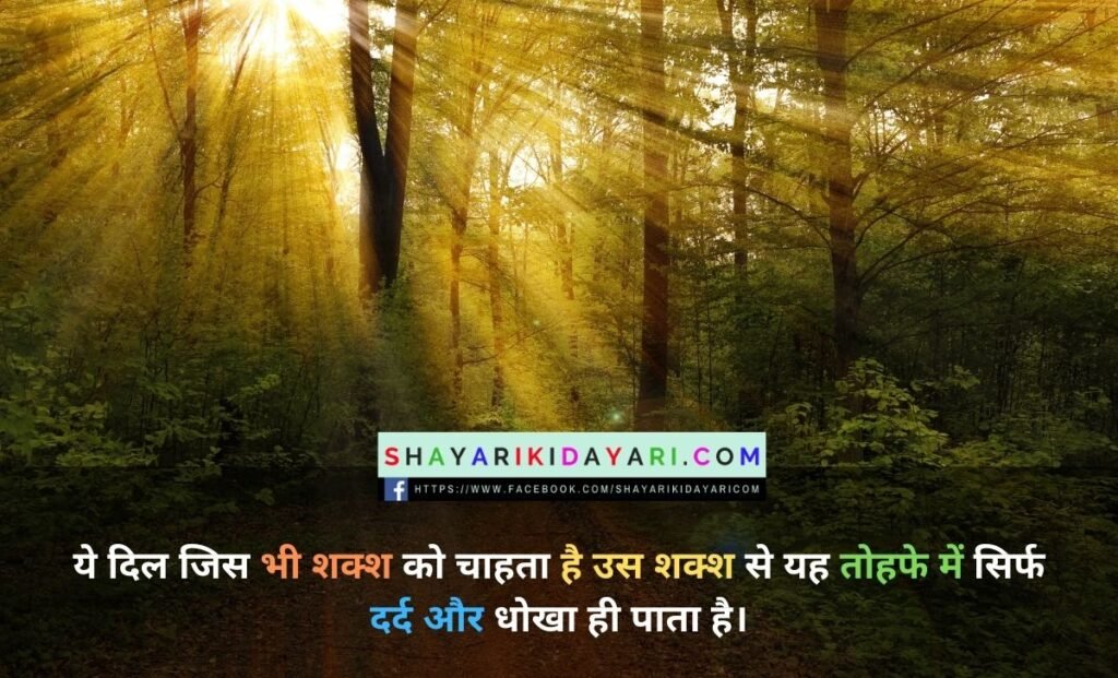 गिफ्ट शायरी इन हिंदी