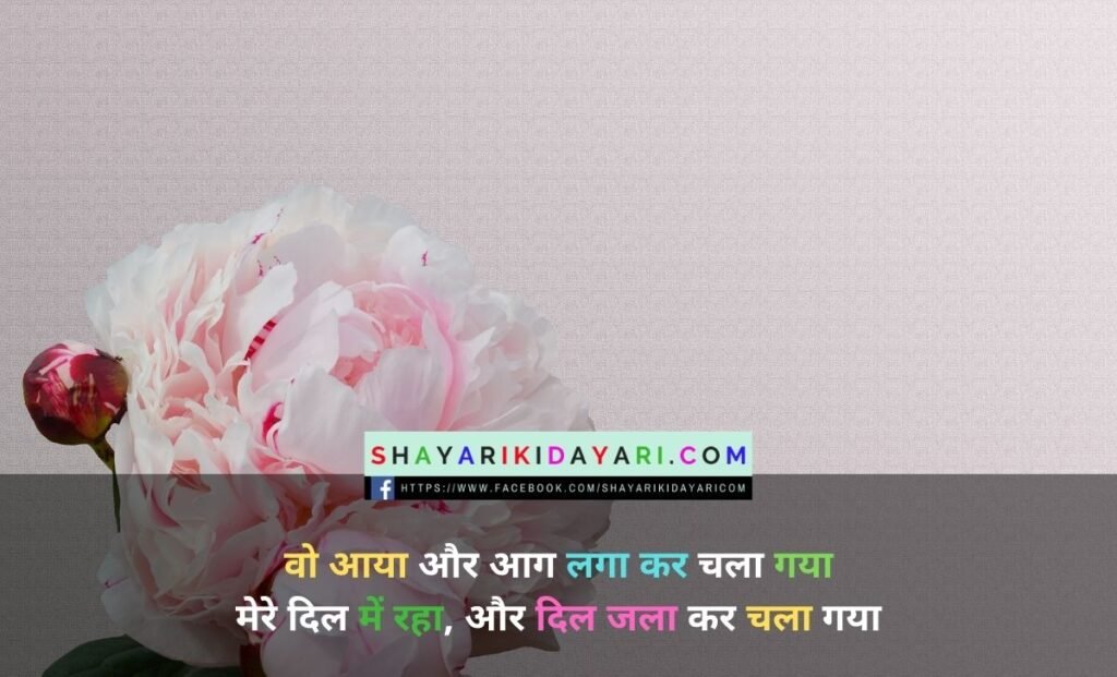 दिलजले शायरी इन हिंदी