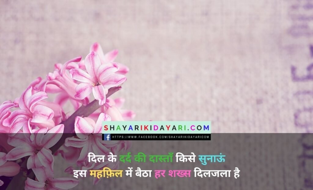 दिलजले शायरी फोटो