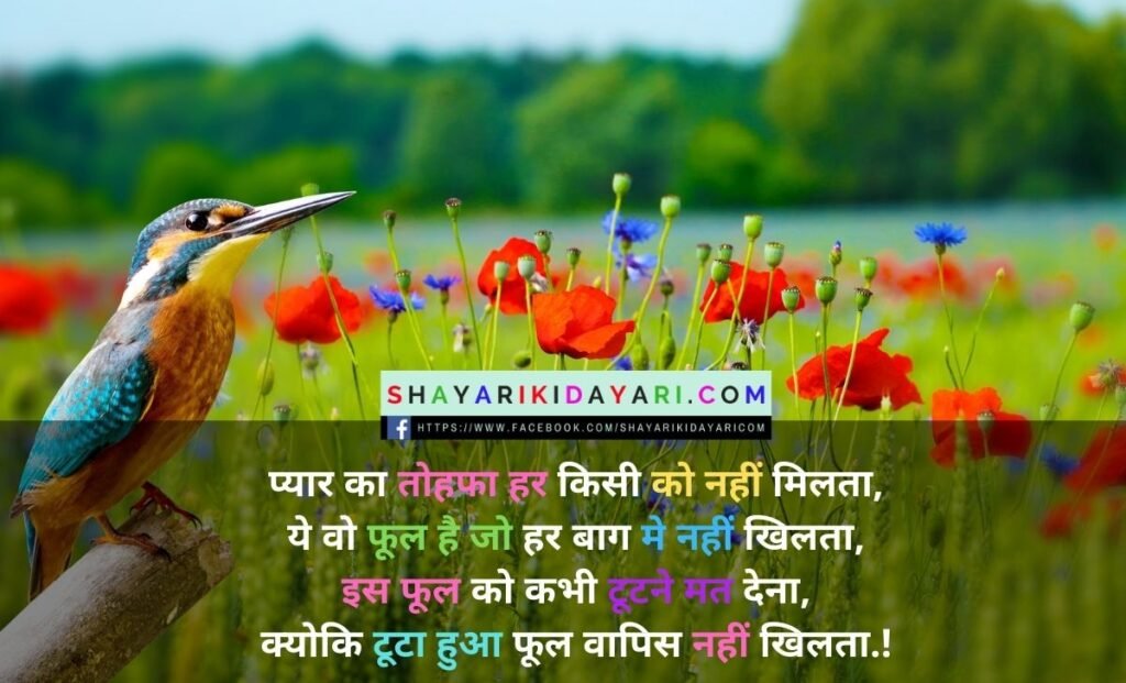 प्यार का तोहफा हर किसी को नहीं मिलता शायरी