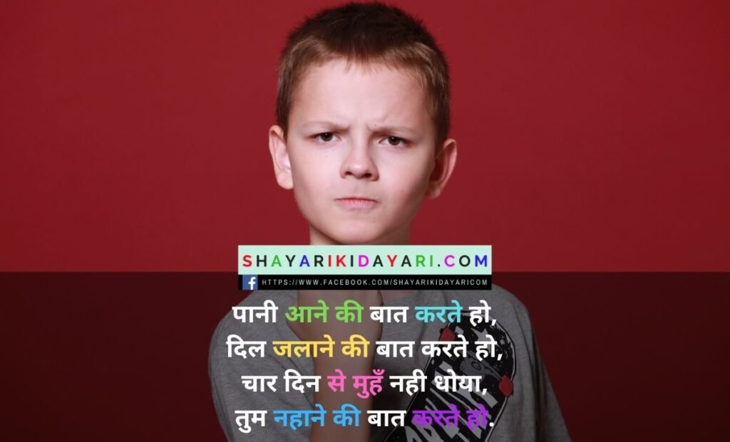 Best Insult Shayari