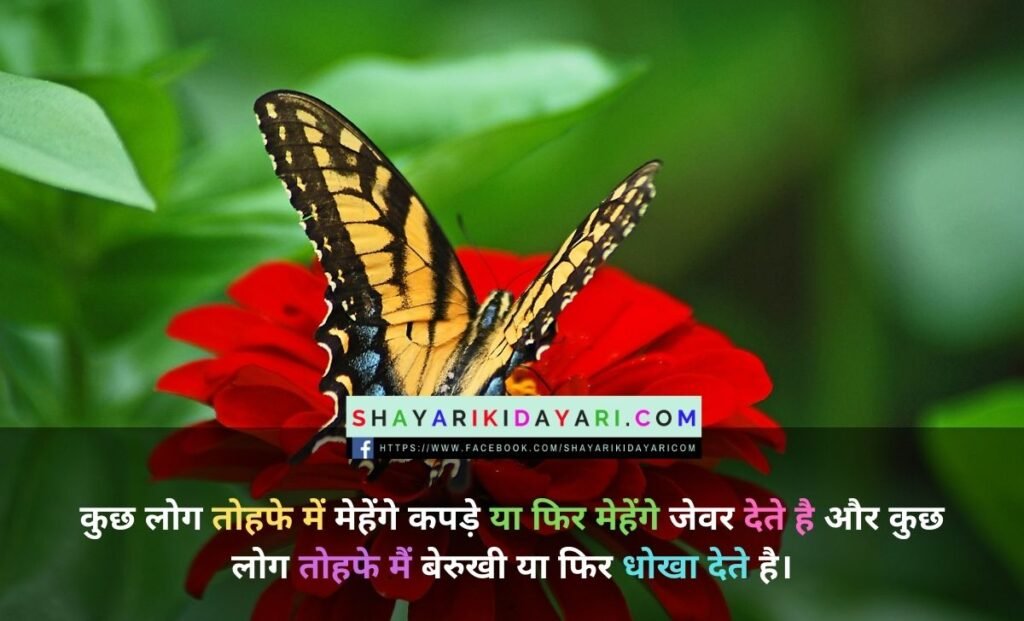 Best gift shayari