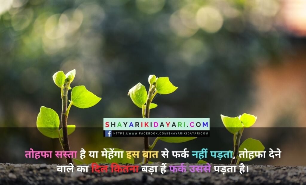 Birthday gift shayari