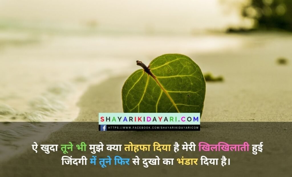 Birthday gift shayari in hindi