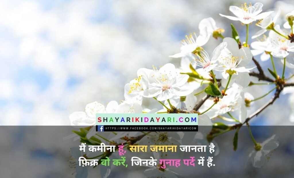 Diljale Shayari for wife
