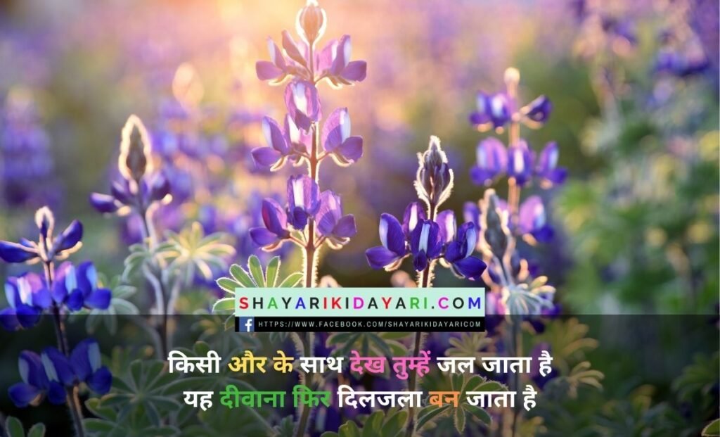 Diljale Status In Hindi With Images