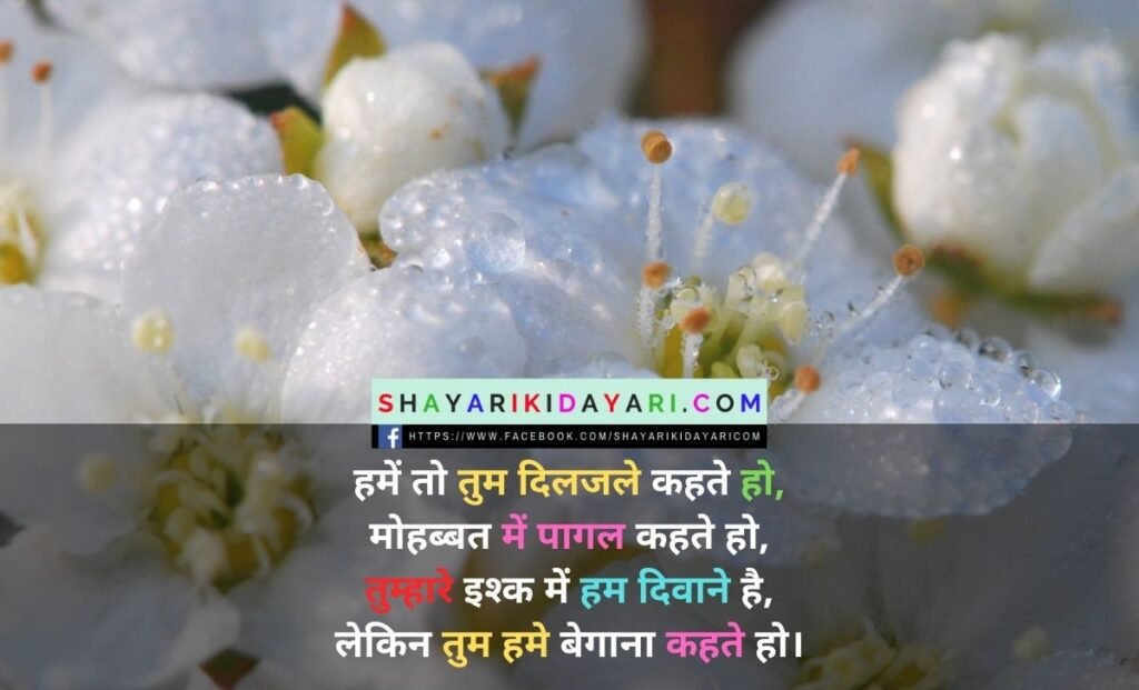 Diljale shayari wallpaper