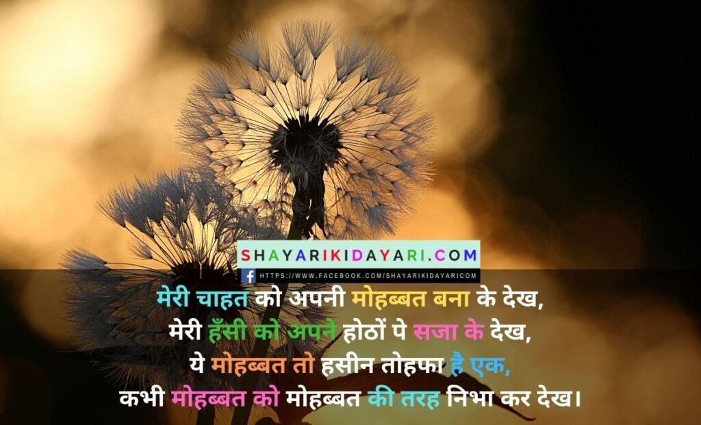 Gift shayari for girlfriend in hindi