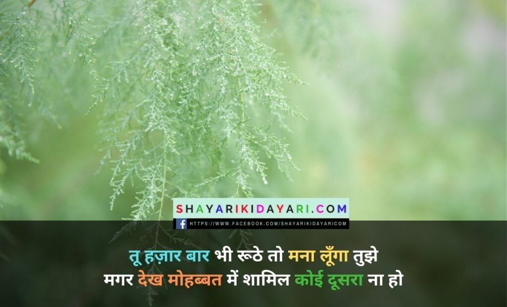 Love Shayari in hindi for boyfriend 120 words