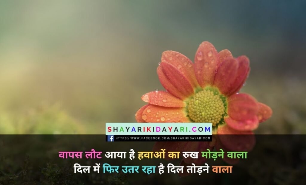 Main Teri parchhain hoon shayari