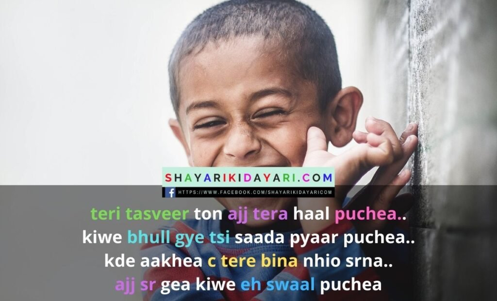 Punjabi Shayari in hindi language