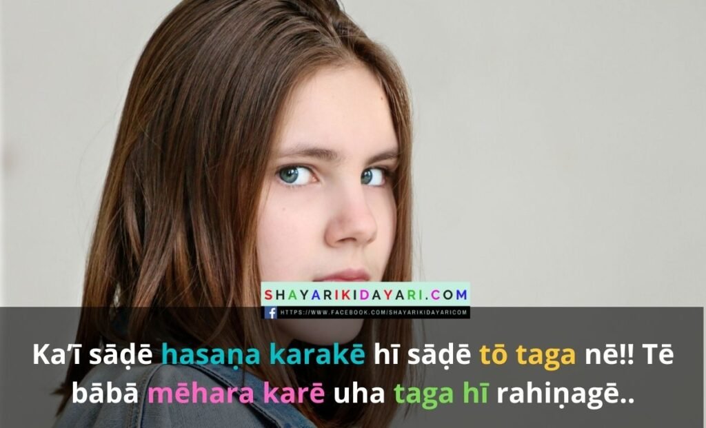 Punjabi sayri in hindi