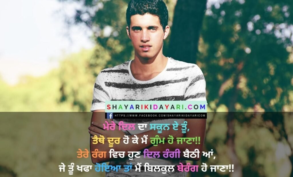 Punjabi shayari in hindi on life