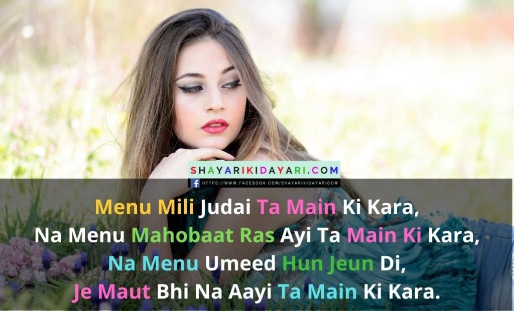 Punjabi shayari lines