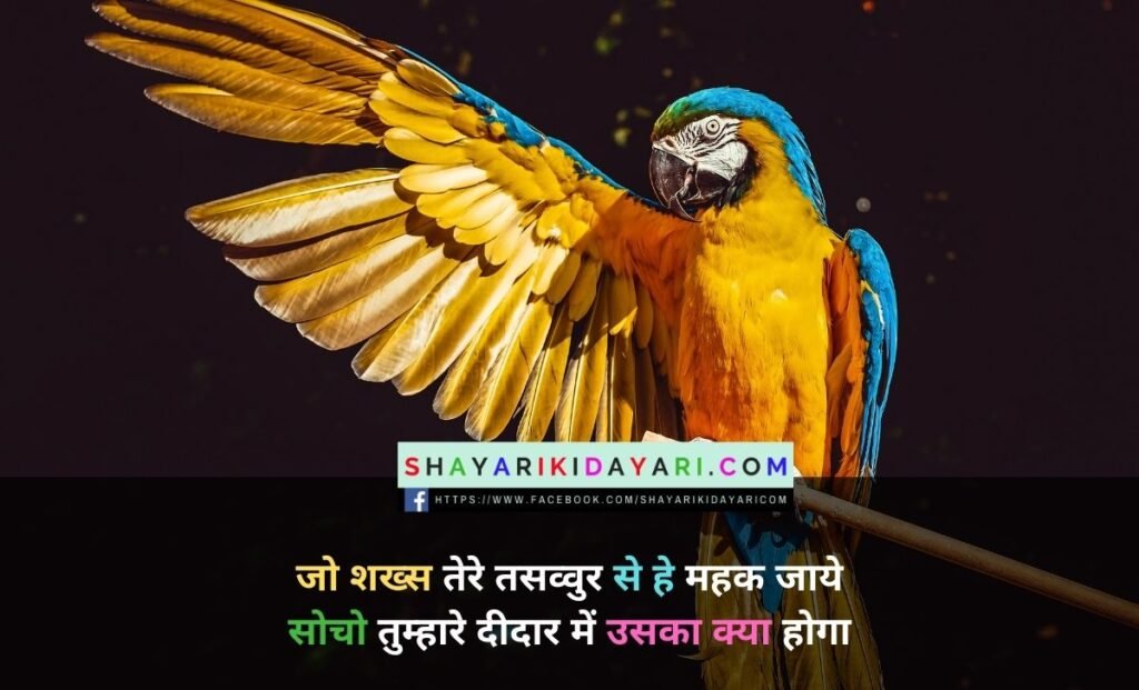 Shayari Aur Shayari
