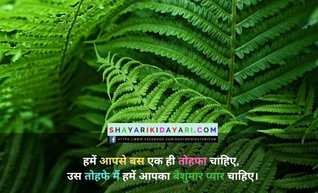 Tohfa shayari In Hindi images download