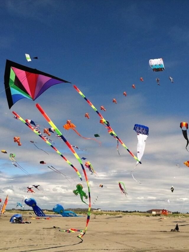 Happy makar sankranti  