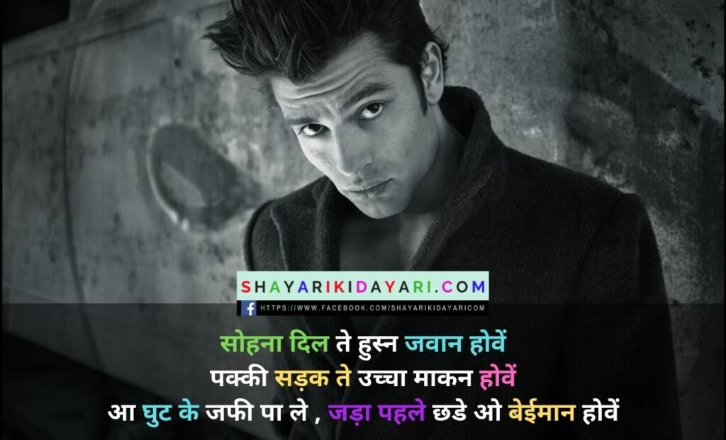 punjabi lines in hindi