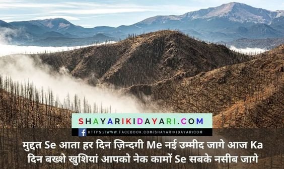 स्टेज शायरी इन हिंदी