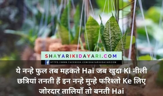 स्वागत शायरी इन हिंदी फॉर एंकरिंग