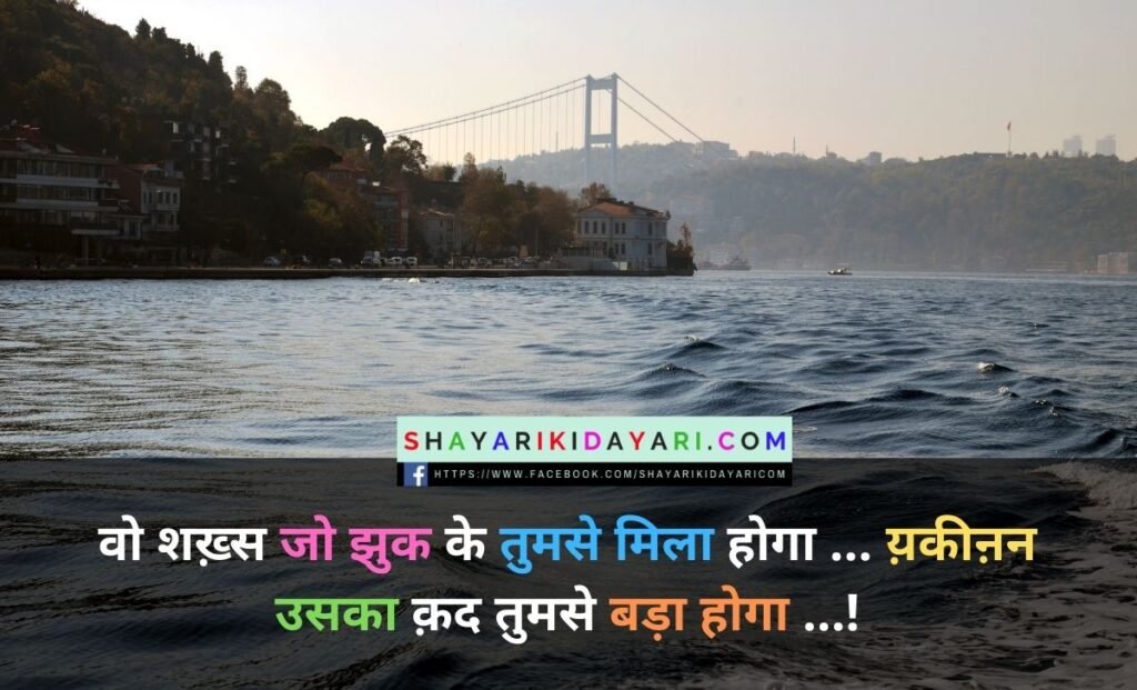 2 line insult shayari in english