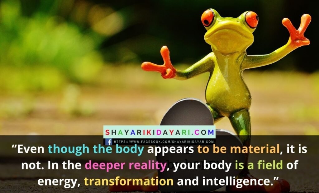 motivational quotes for december