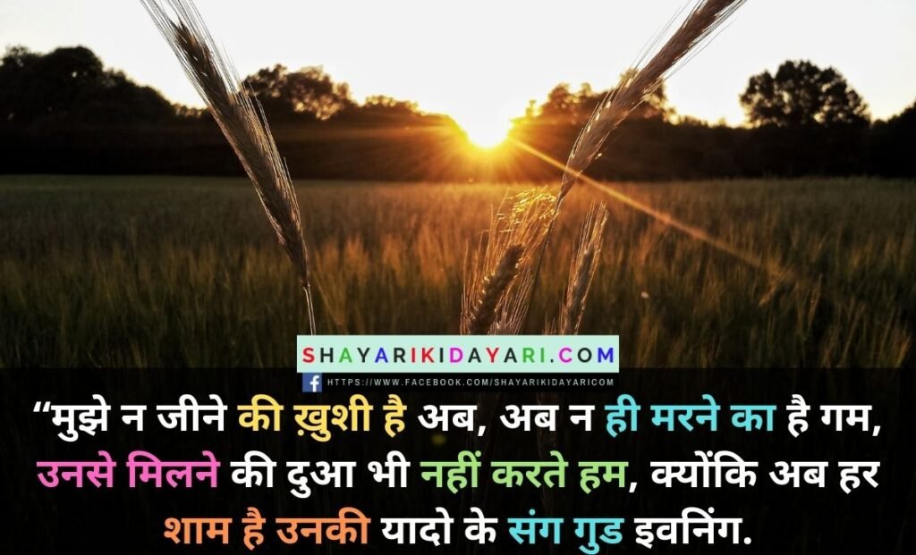 Happy Good Evening Friday Shayari in Hindi