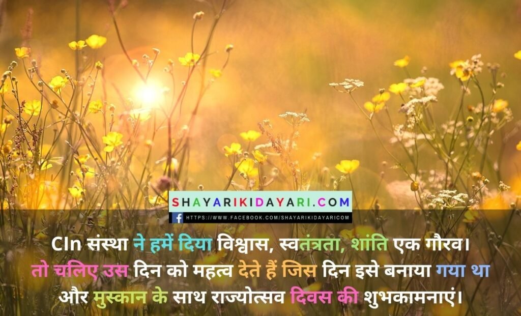 Rajyotsava Day Shayari in Hindi
