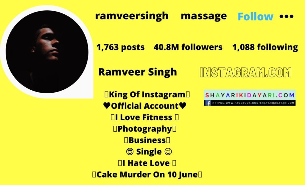 Best Instagram Bio For Boys Attitude