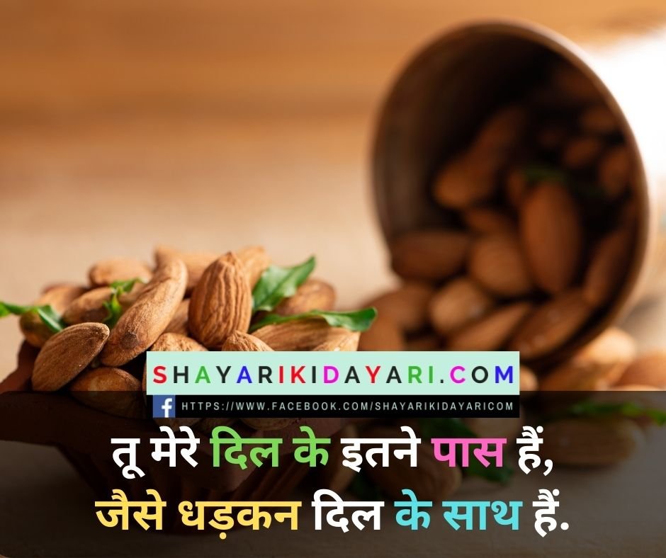 Dayari ki shayari in hindi