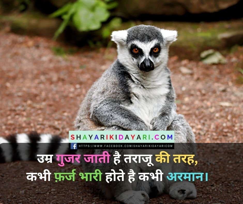 Shayari ki dayri hindi