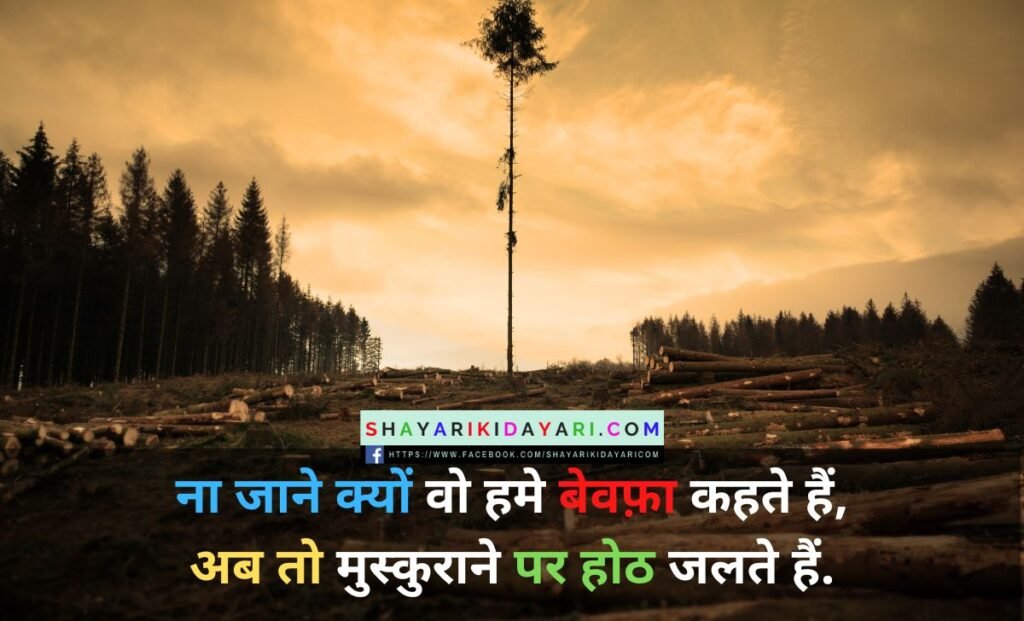 Shayari ki diary hindi image download