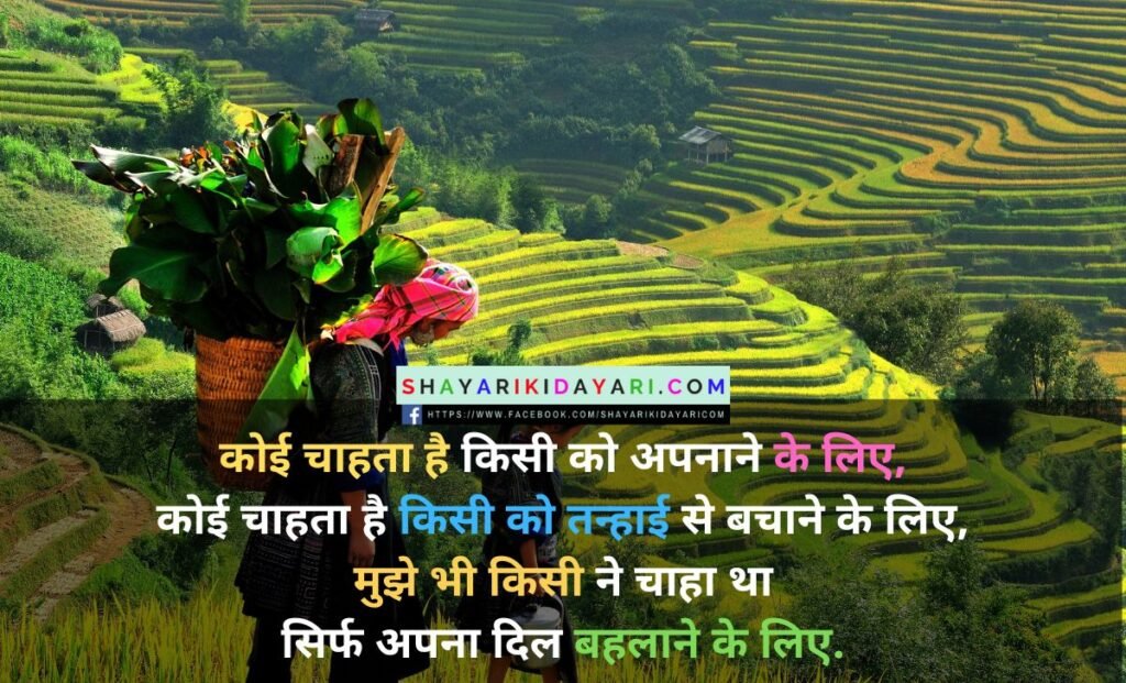 Shayari ki diary in english