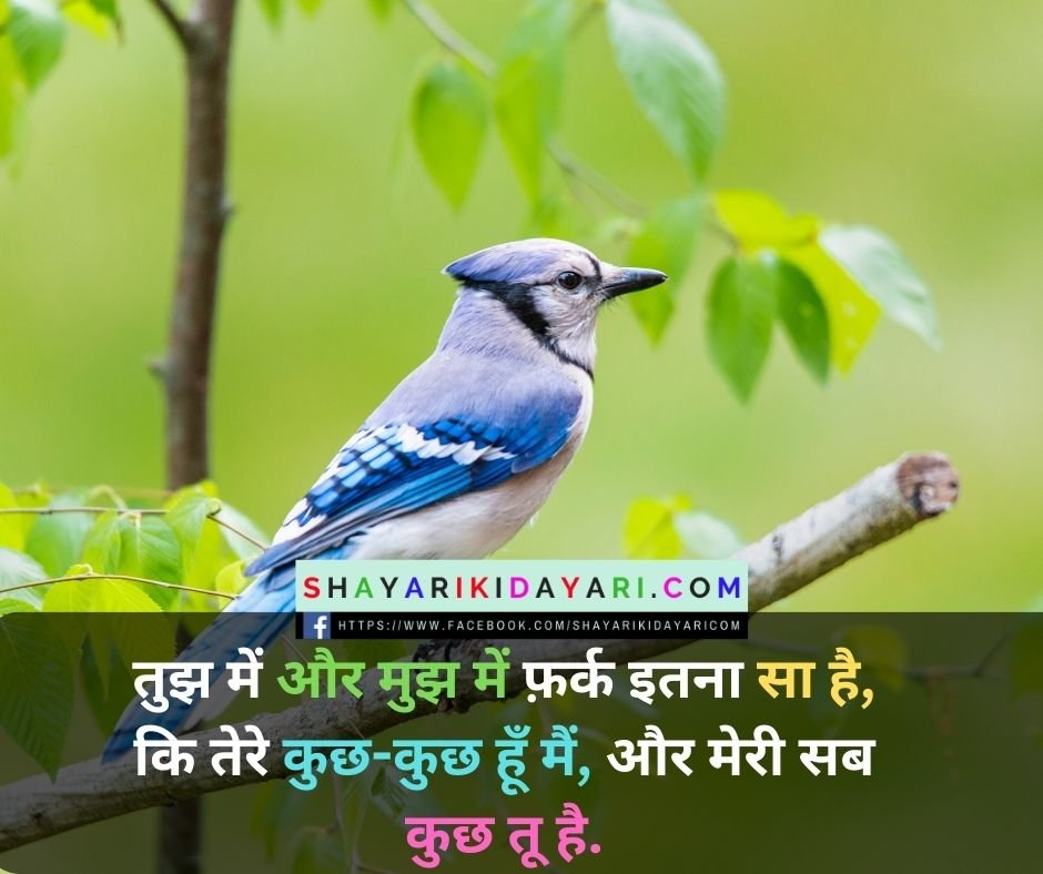 Shayari ki diary romantic