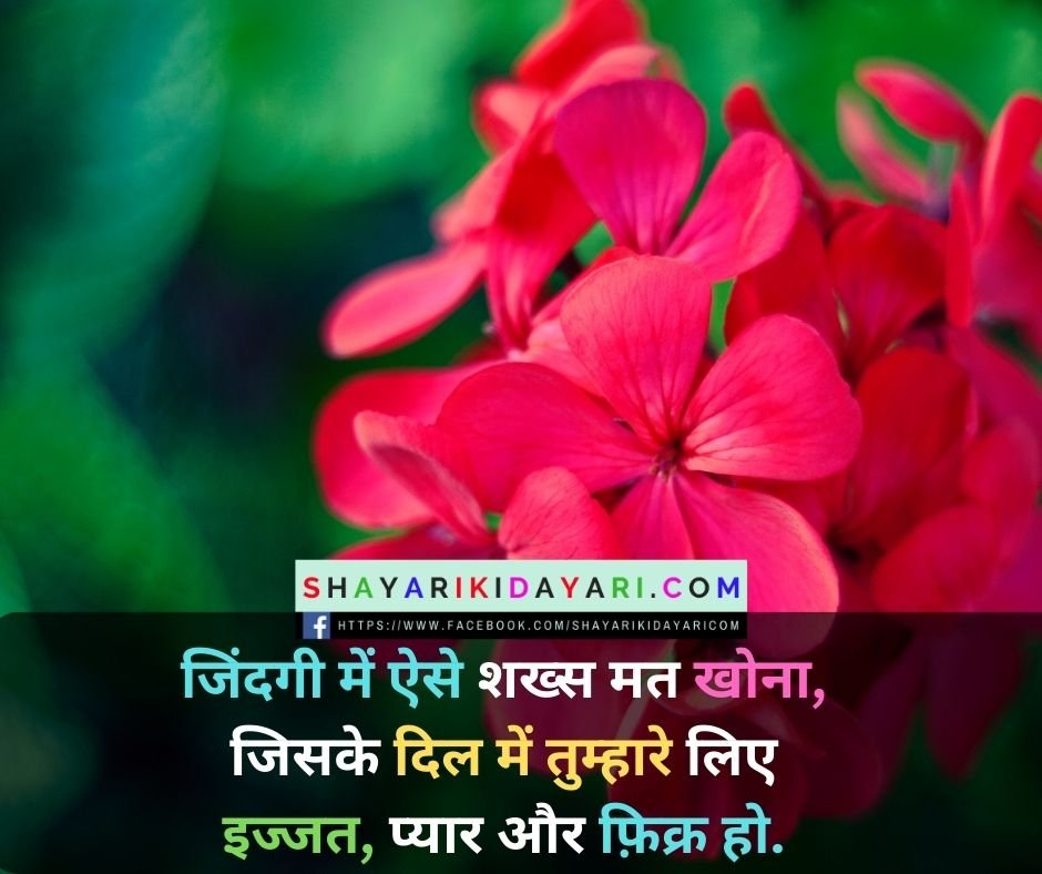 Shayri ki dayri instagram