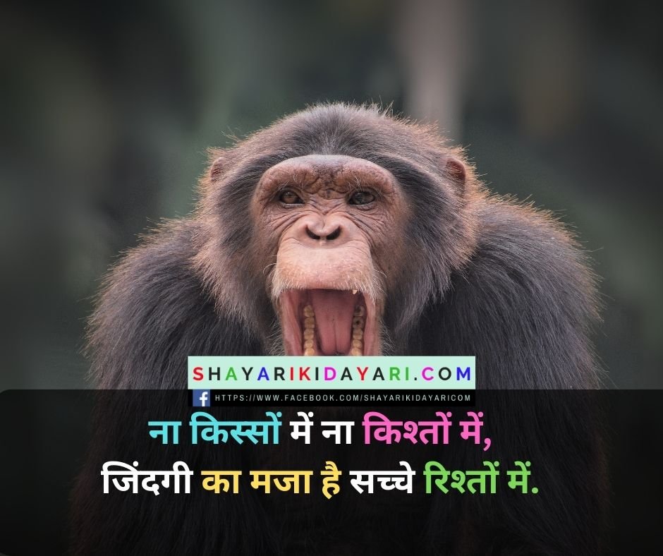 Zindagi shayari ki dayri