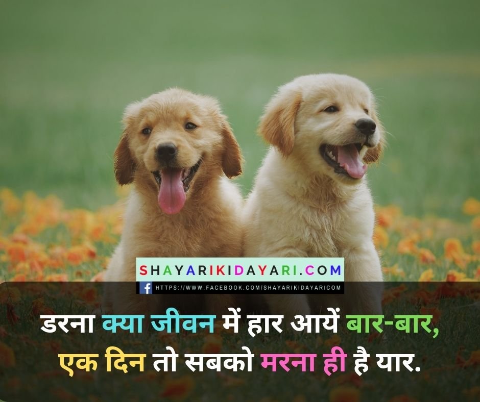 शायरी की डायरी फोटो