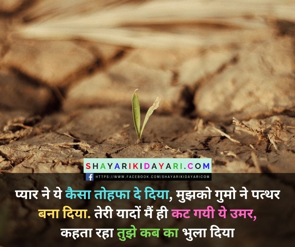 शायरी की दुनिया images