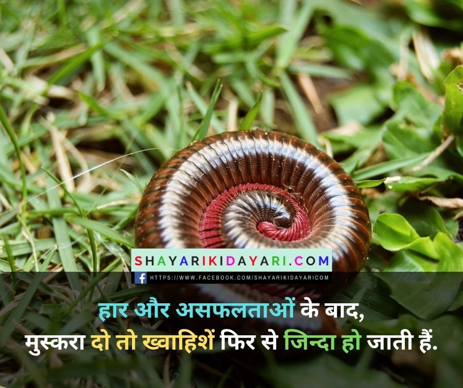 Shayari Ki Dayari Images