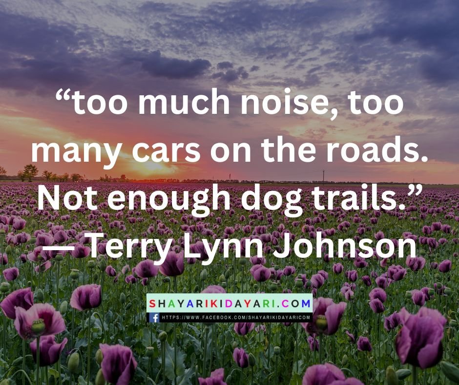 Best Terry Johnson Quotes