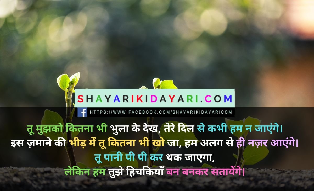 तुमसे मिलना लव शायरी