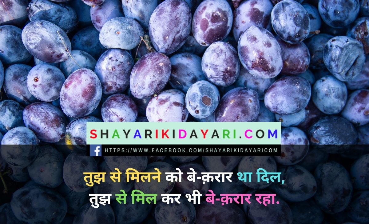 Milna Hai Love Shayari in hindi